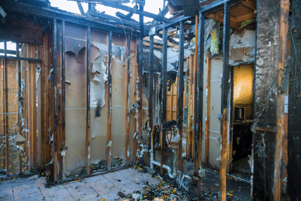 Professional Fire Damage Removal technician working in Clemson University, SC